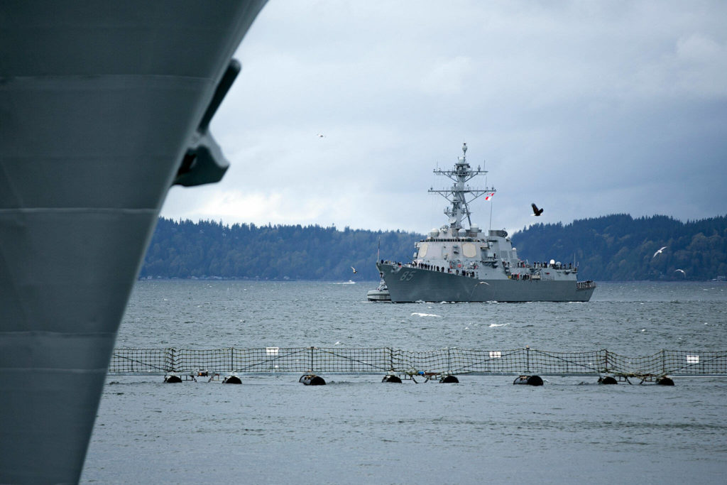 A bald eagle and a flock of seagulls fly past the USS McCampbell as it arrives Friday at Naval Station Everett. (Ryan Berry / The Herald)
