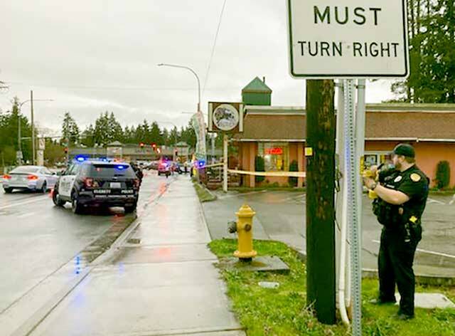 Police at the scene where a young child was reportedly struck and killed by a vehicle near Silver Lake in Everett. (Everett Police Department)