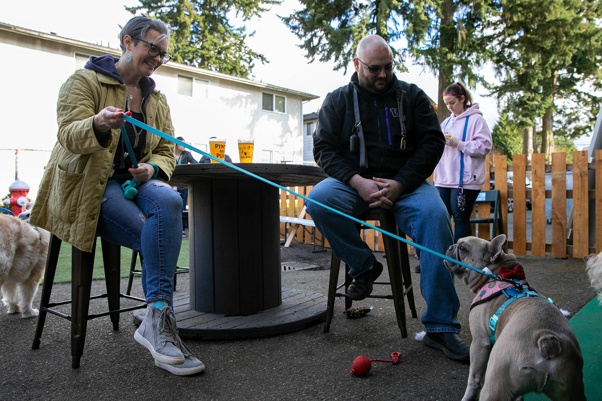 Andrea Rynearson and her French bulldog, Kevin, hang out with Chase Quinton and a multitude of other dogs during Pints and Pups’ grand opening April 9 in Everett. (Ryan Berry / The Herald)