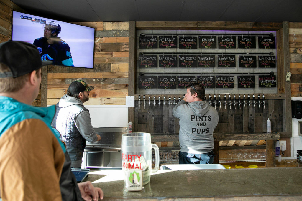 Dogs are welcome at Pints and Pups, but humans need to be 21 and older. (Ryan Berry / The Herald)
