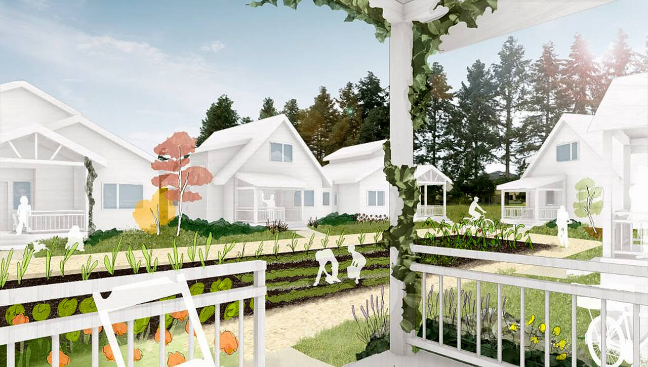 An artist’s rendering of Sunnyside Village Cohousing in Marysville. (Sunnyside Village Cohousing)