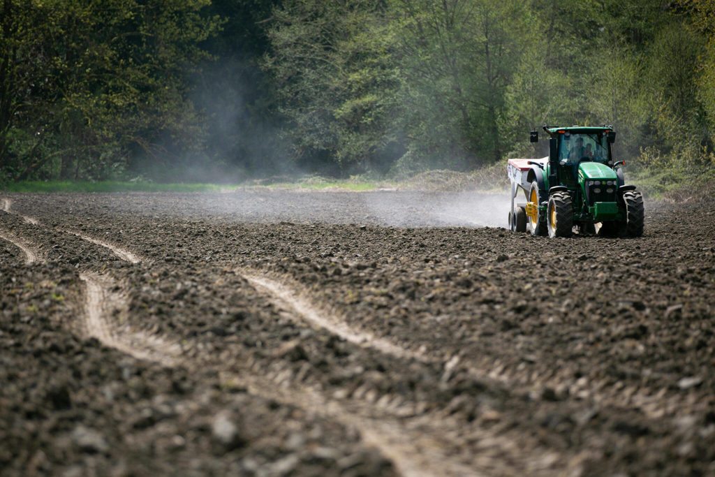 Andrew Albert drives his tractor and spreads fertilizer Friday across a field owned by the city of Arlington. (Ryan Berry / The Herald)
