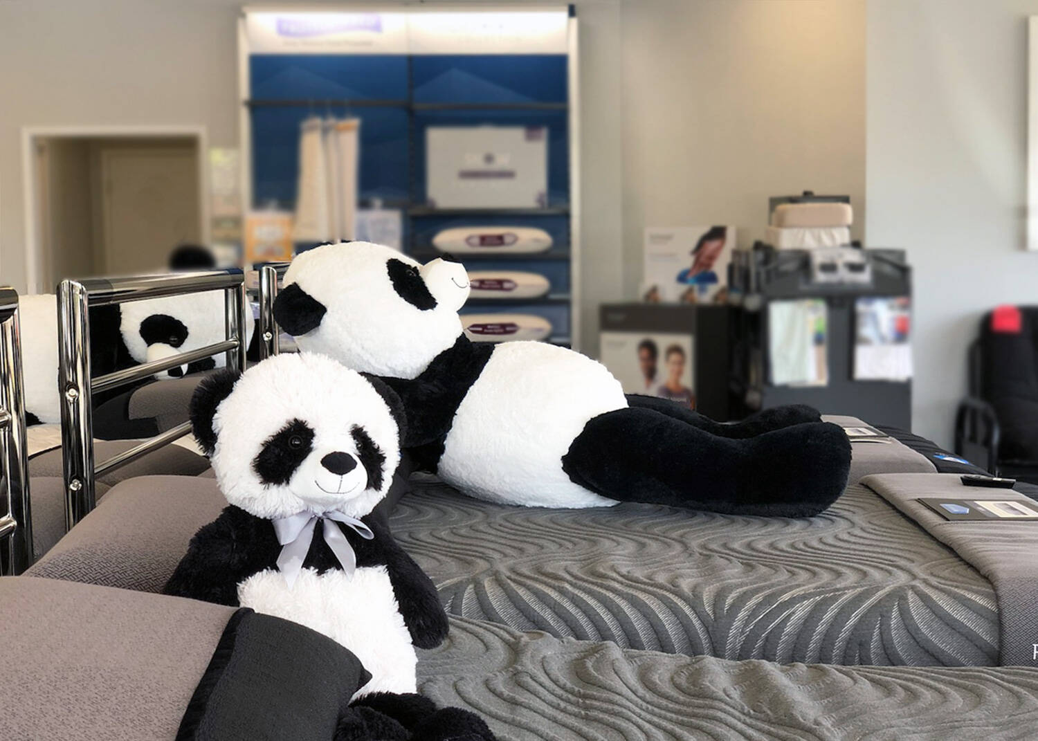 The family-owned ESC Mattress Center has the expert knowledge to help you find a mattress that works for you.