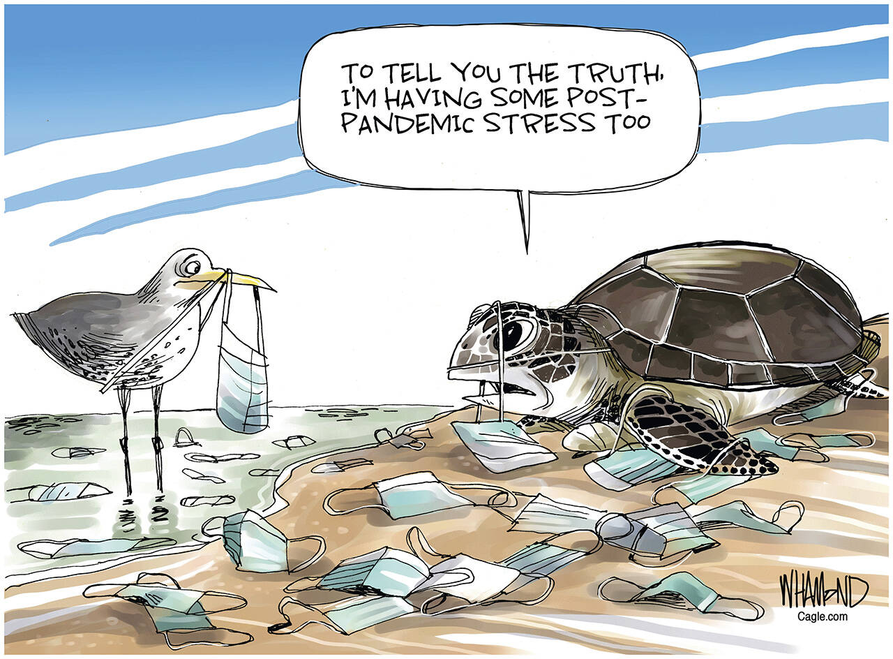 toon