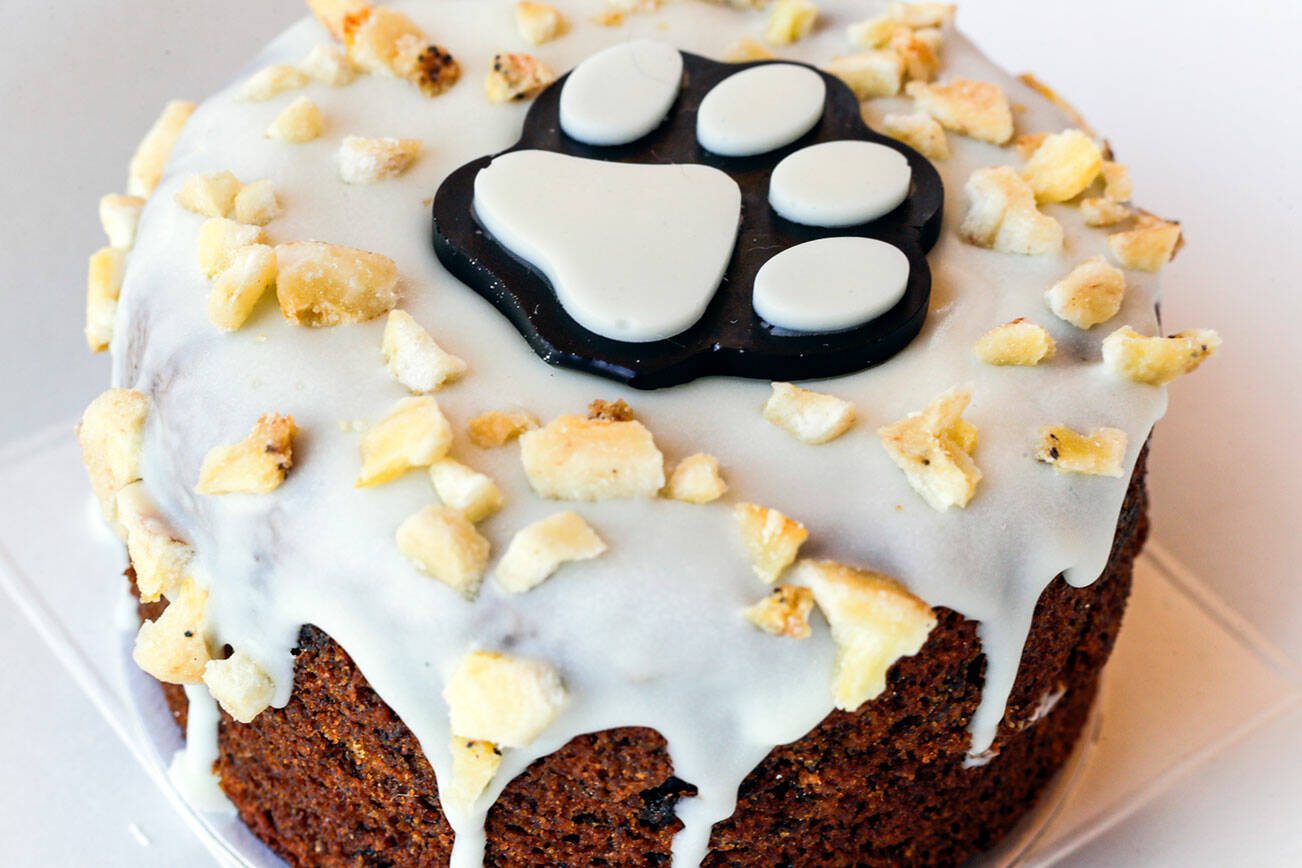 A blueberry banana cake created by Jennifer Savage of CityBones, a dog treat bakery out of Darrington, Washington. (Kevin Clark / The Herald)