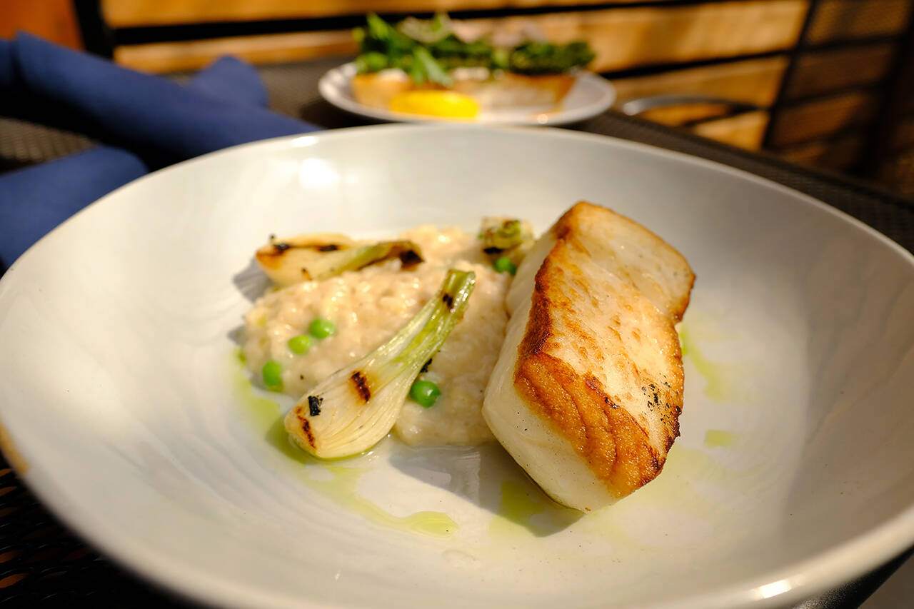 The fresh Alaskan halibut ($34) at LJ’s Bistro in Lake Stevens is pan-seared and served with an English pea and bacon risotto and grilled spring onions. (Taylor Goebel / The Herald)
