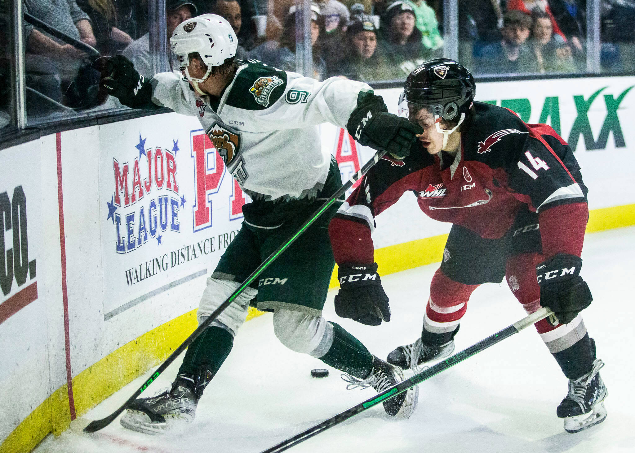 The Silvertips’ Ben Hemmerling (left) battles the Giants’ Ethan Semeniuk for the puck during a playoff game on April 30 in Everett. (Olivia Vanni / The Herald)
