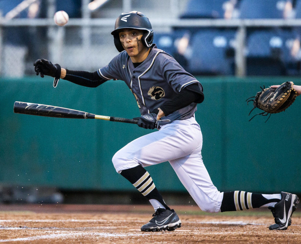 Lynnwood’s Sergio Navarro bunts during the district semifinal game at Funko Field on Tuesday in Everett. (Olivia Vanni / The Herald)
