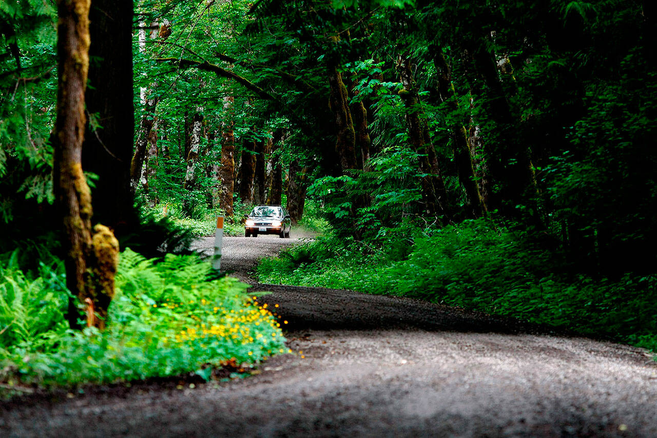 A car makes its way through a winding unpaved section of the Mountain Loop Highway 15 miles outside of Darrington. (Jennifer Buchanan / Herald file)