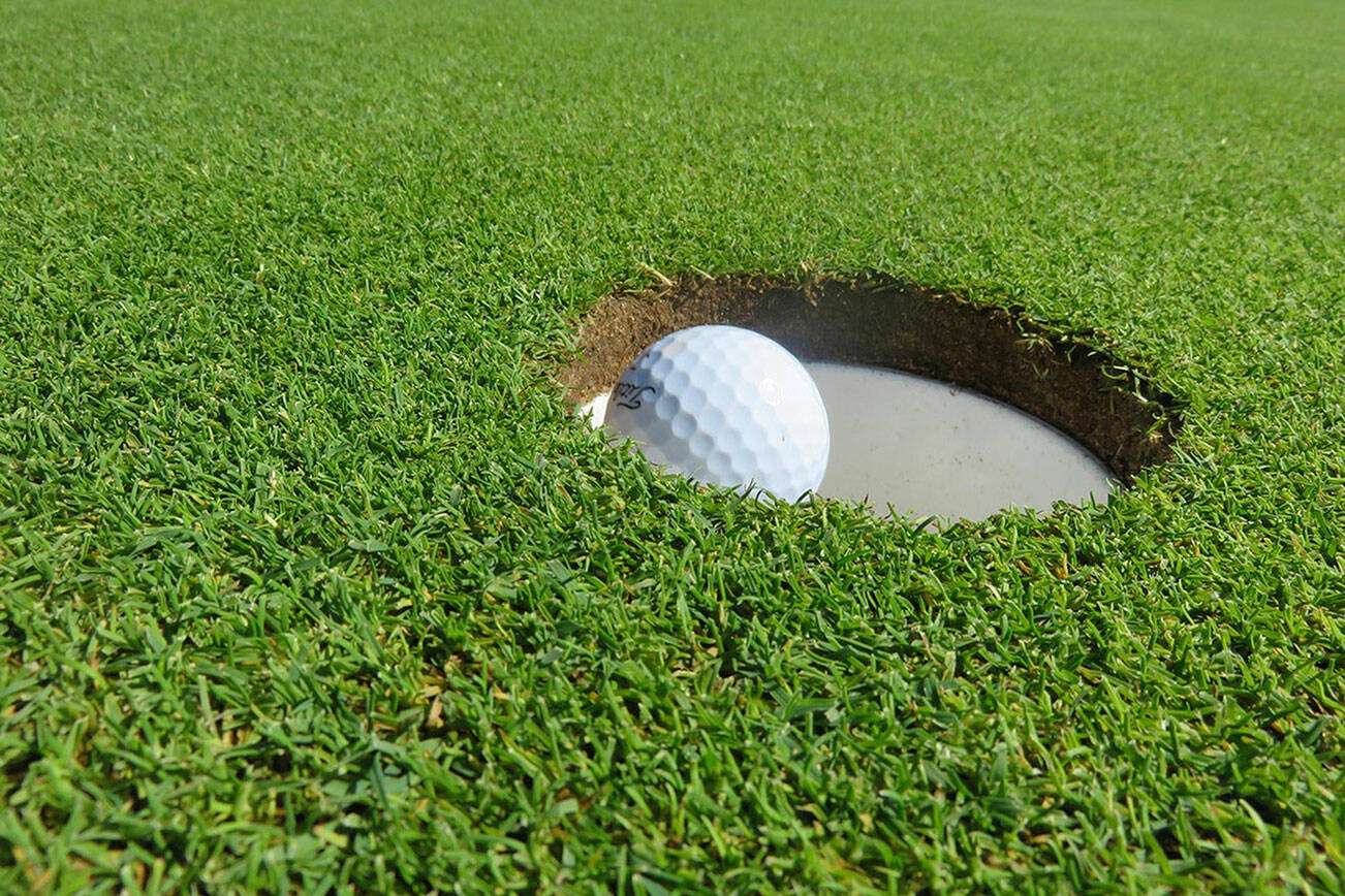 Free close up on golf ball on green grass photo, public domain sport CC0 image.