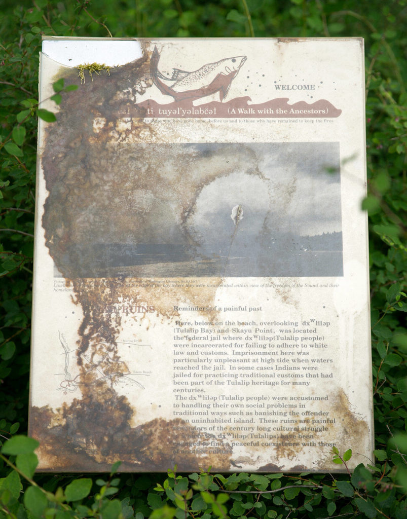 A sign describing the history of an old jail along the beach is displayed outside on June 13, behind the Tulalip Montessori School in Tulalip. (Ryan Berry / The Herald)
