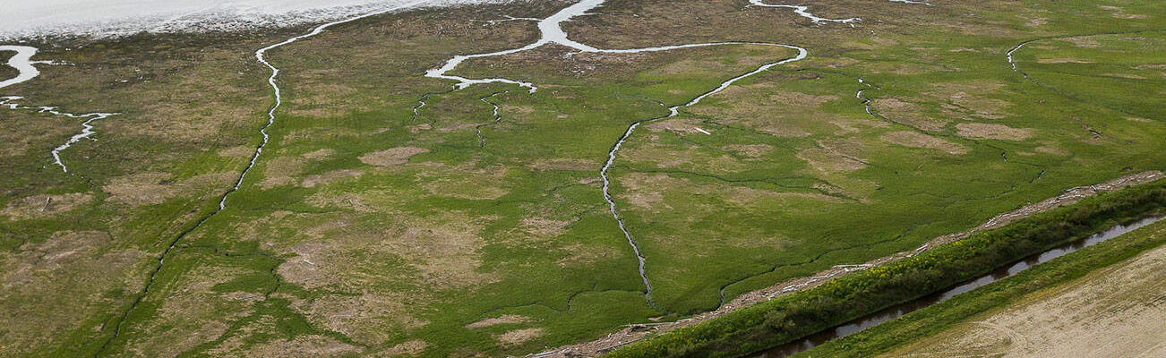 A stretch of the dike that runs along Skagit Bay on Friday, May 13, 2022 in Stanwood, Washington. (Olivia Vanni / The Herald)