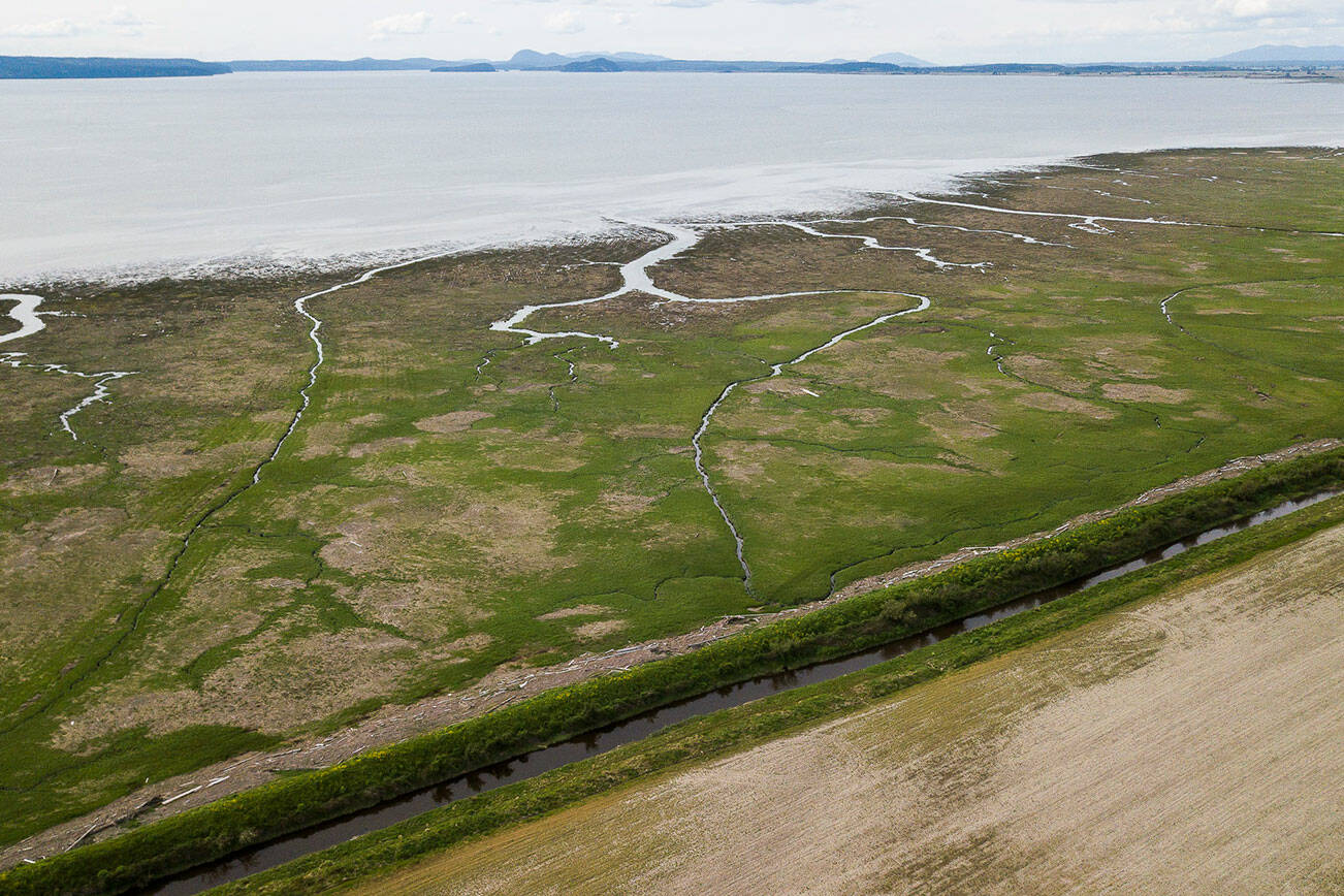 A stretch of the dike that runs along Skagit Bay on Friday, May 13, 2022 in Stanwood, Washington. (Olivia Vanni / The Herald)