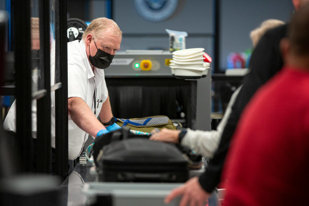 A TSA agent helps people run their belongings through security at Paine Field. (Ryan Berry / The Herald)
