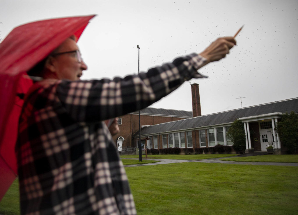 Cathy Clark explains how she is able to tally the birds as they quickly drop into the chimney in Monroe. (Olivia Vanni / The Herald) 
