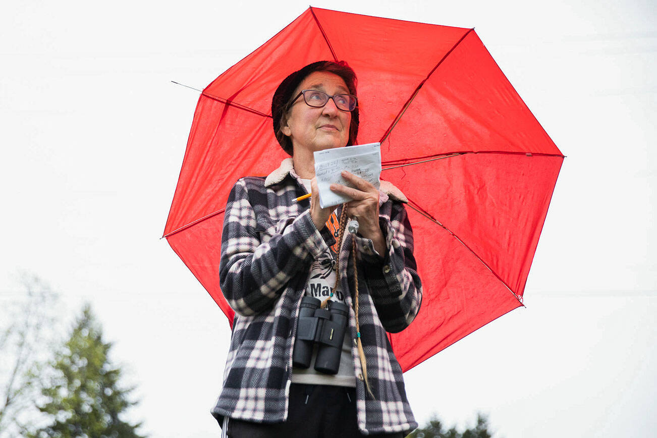 Cathy Clark tallies Vaux’s swifts as they fly into the chimney at Frank Wagner Elementary School on Tuesday, May 24, 2022 in Monroe, Washington. (Olivia Vanni / The Herald)