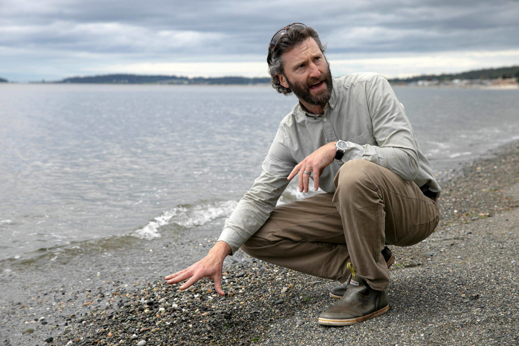 Ryan Elting, conservation director at the Whidbey Camano Land Trust, talks about the important ecosystem the shoreline provides on June 10 at the site of the Keystone Preserve near Coupeville. (Ryan Berry / The Herald)
