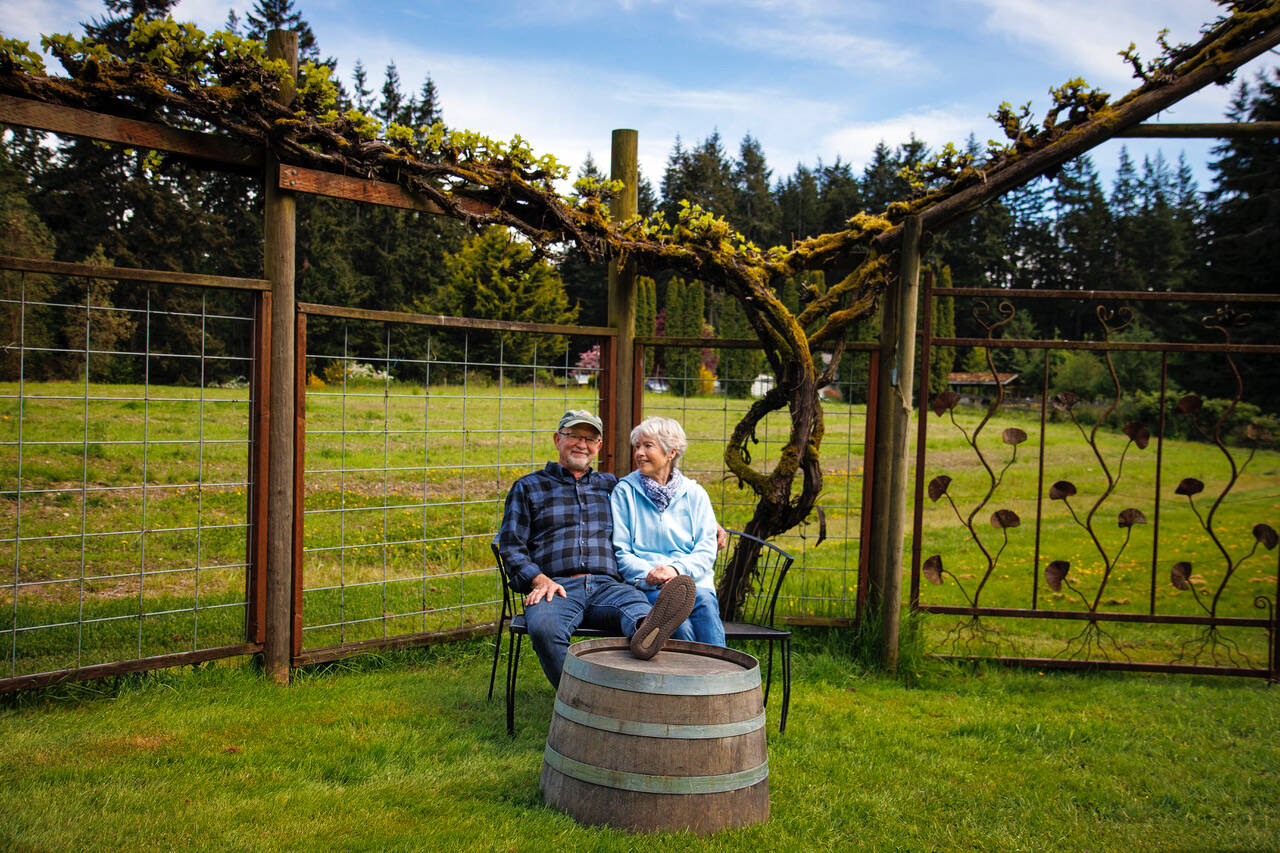Greg and Elizabeth Osenbach sit before their empty vineyard. The last harvest of the year has happened for Whidbey Island Winery, which will be ceasing production and retail operations this year. (David Welton)