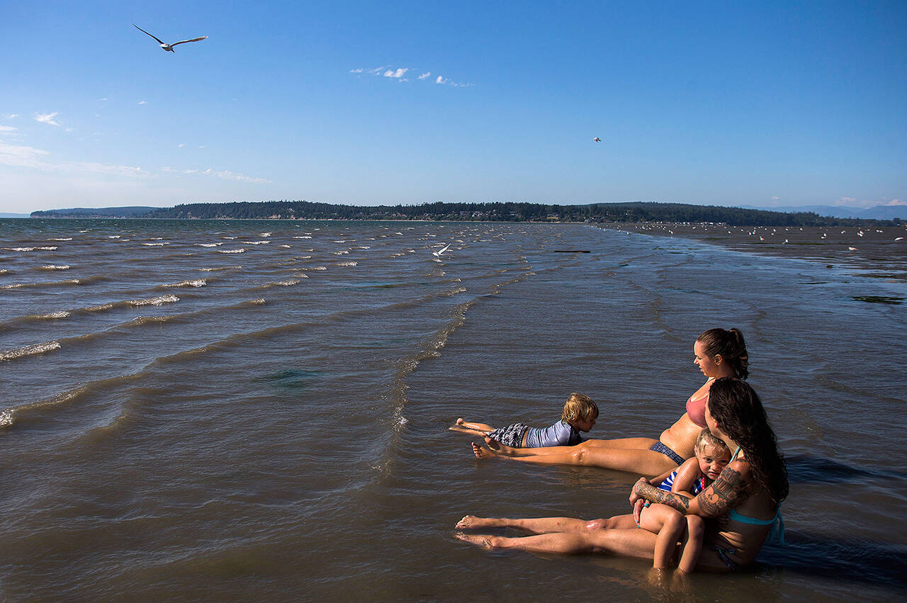 On summer afternoons, the sun warms the shallow water off Jetty Island’s west shore. (Olivia Vanni / The Herald)