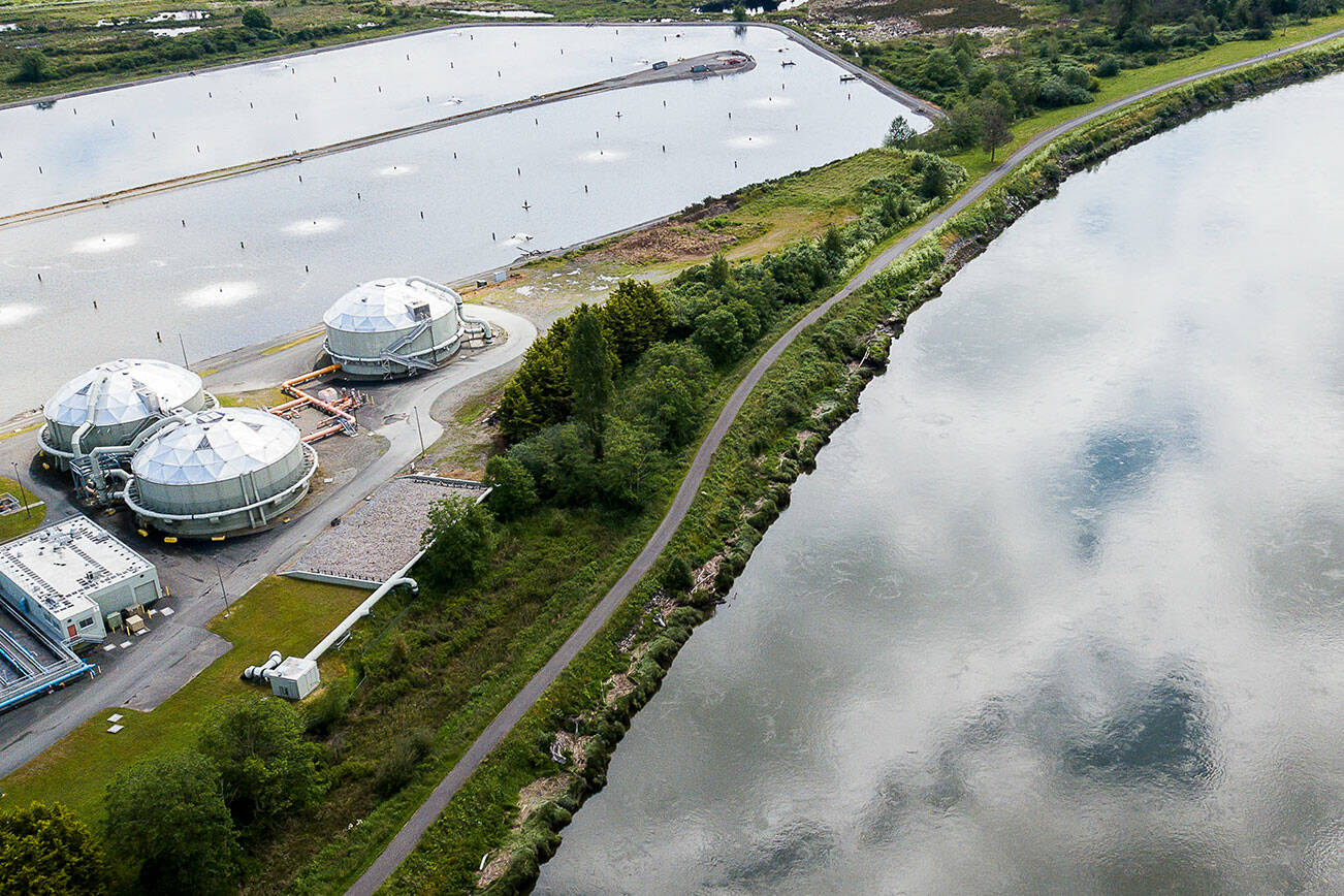 The Everett Wastewater Treatment Plant along the Snohomish River on Thursday, June 16, 2022 in Everett, Washington. (Olivia Vanni / The Herald)