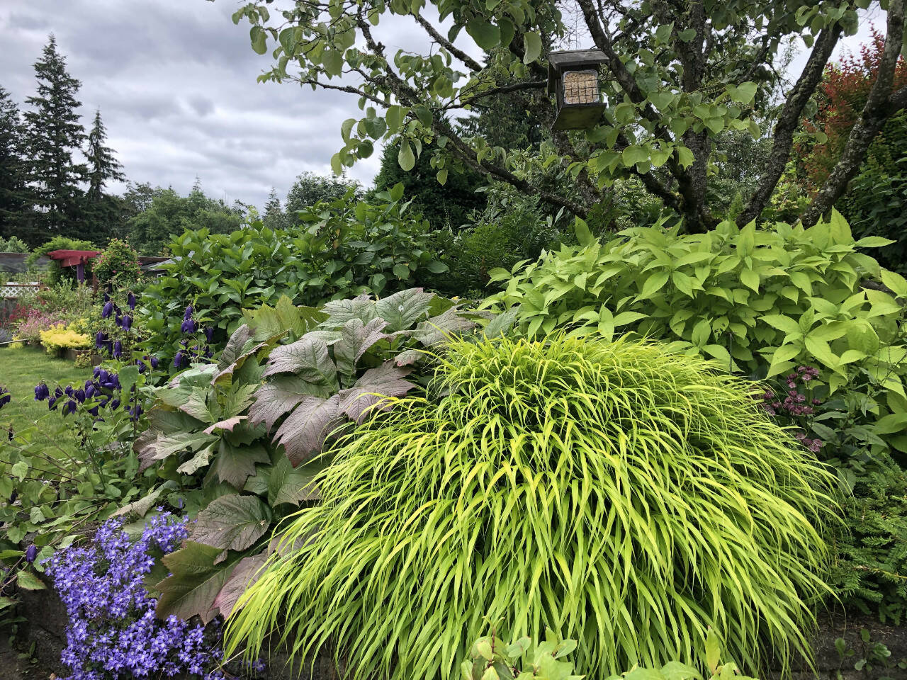 Celebrate diversity and inclusivity in your garden, Steve Smith says. (Sunnyside Nursery)