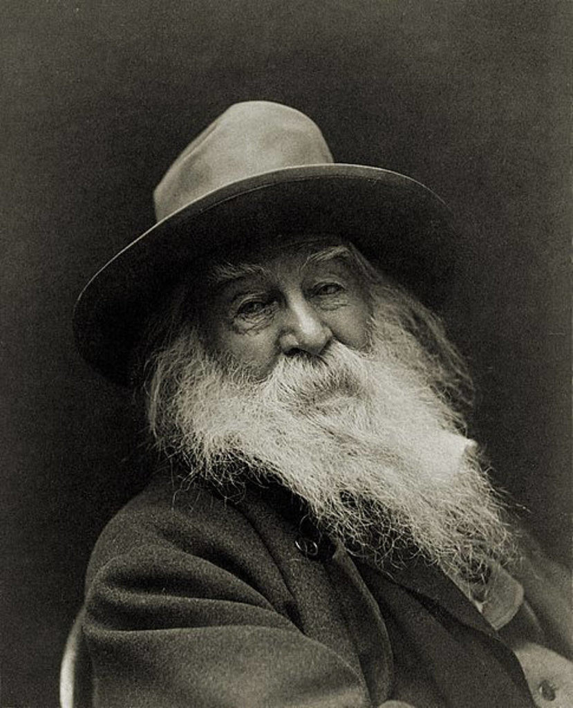 Walt Whitman (George Collins Cox)
