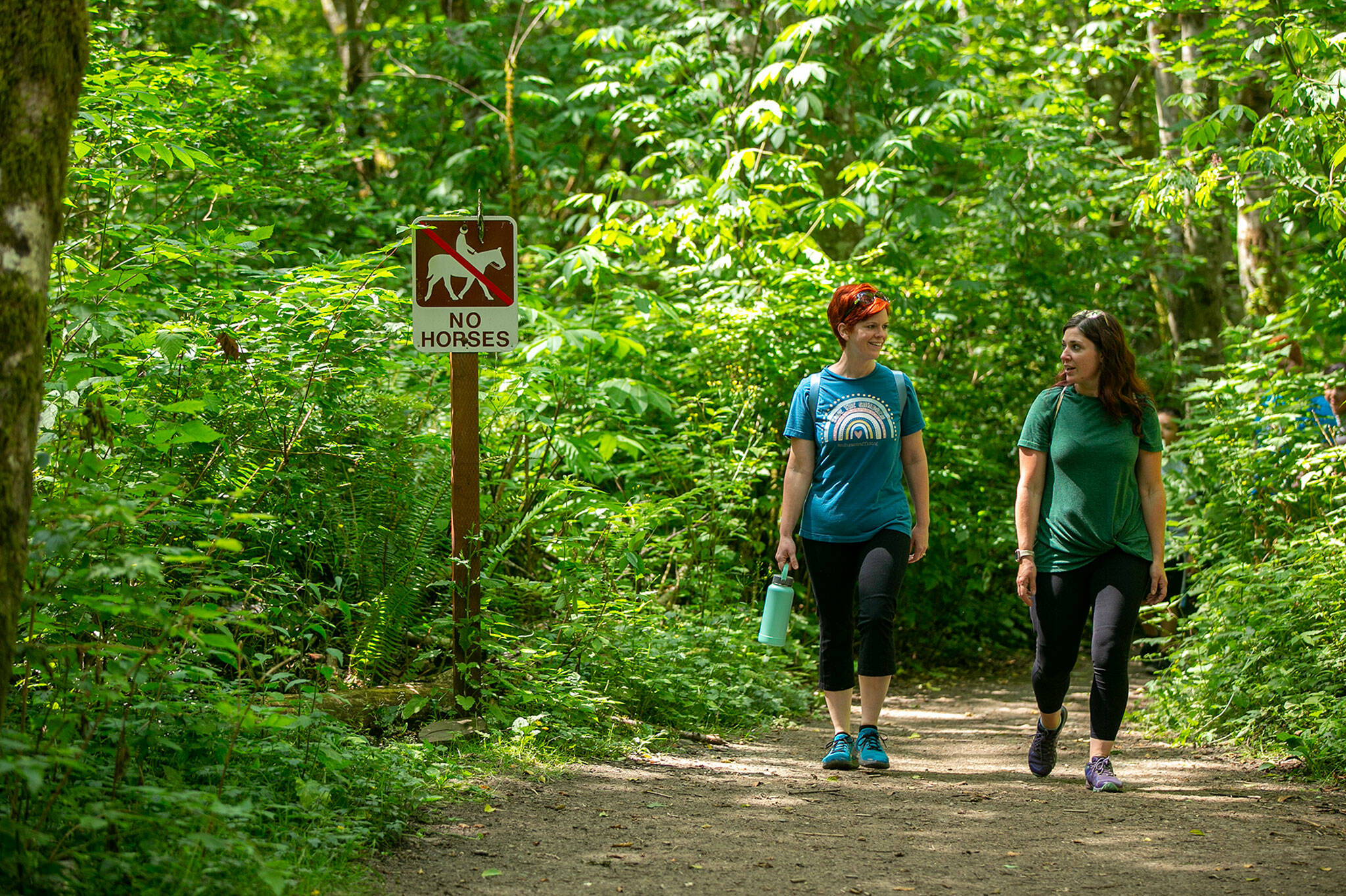 A group of hikers pass by a “no horses” sign on one of the trails at Lord Hill Park on Friday, near Snohomish. (Ryan Berry / The Herald)