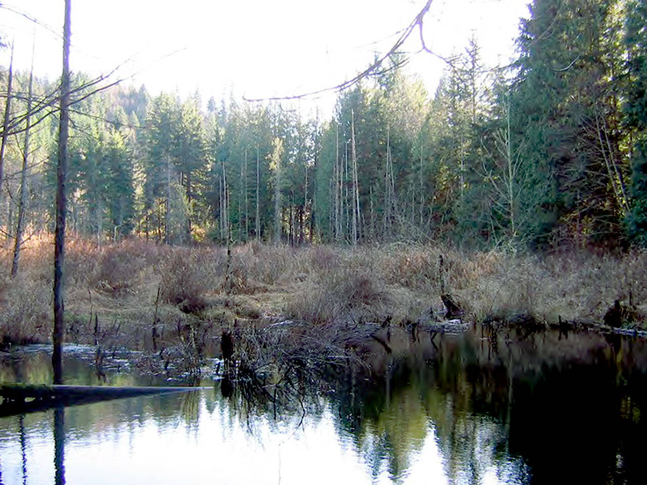 This marsh near Granite Falls is now called Holland Marsh. (Chuck Holland)