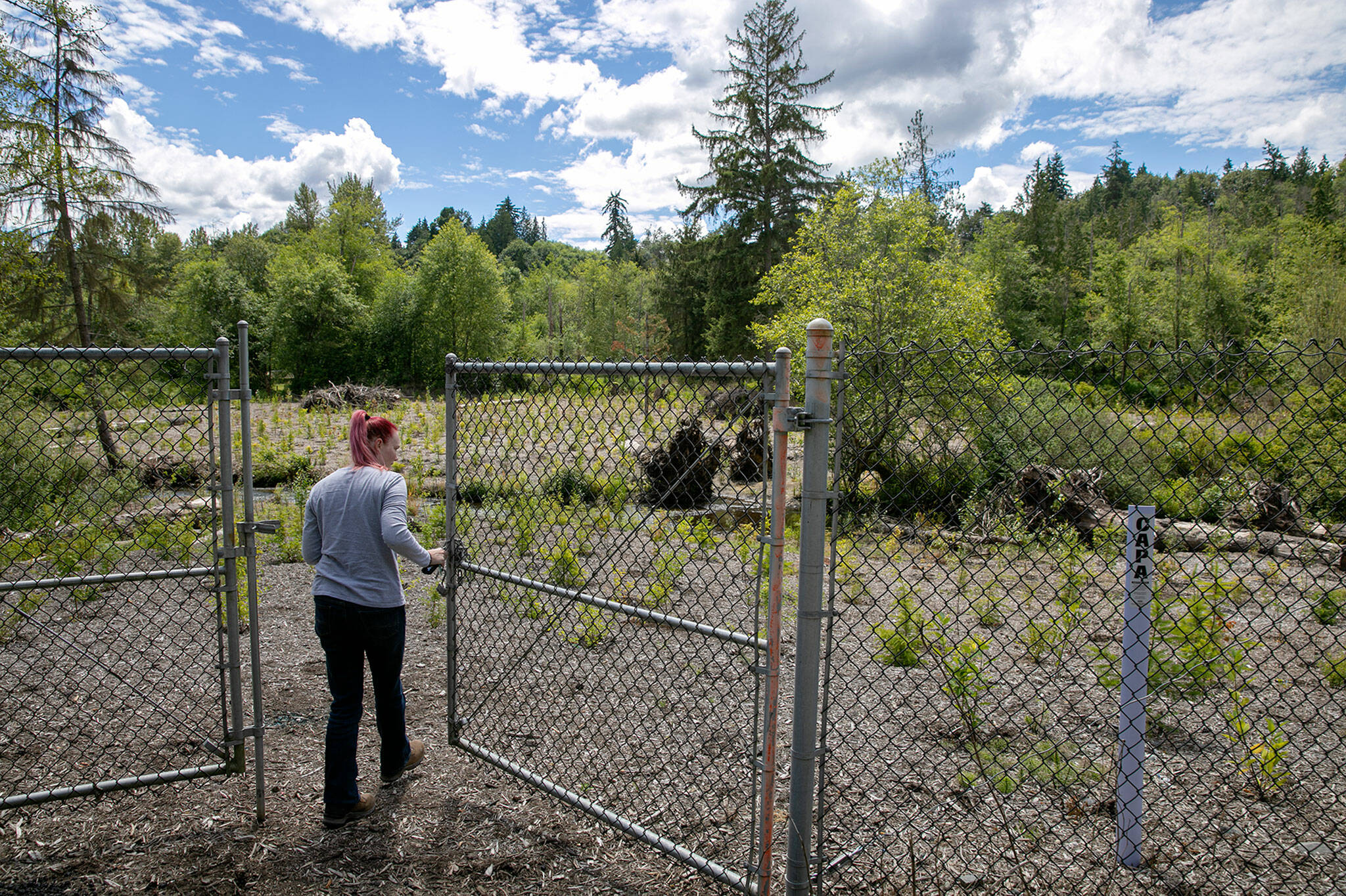Beth Larsen, an environmental planner with Snohomish County, opens the gates at a new protected habitat area on Thursday south of Mill Creek. (Ryan Berry / The Herald)