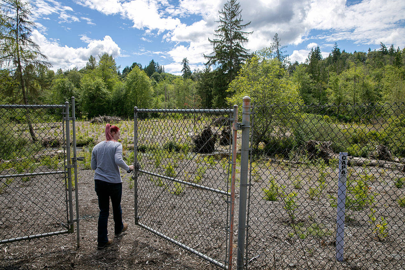 Beth Larsen, an environmental planner with Snohomish County, opens the gates at a new protected habitat area on Thursday, July 7, 2022, south of Mill Creek. (Ryan Berry / The Herald)