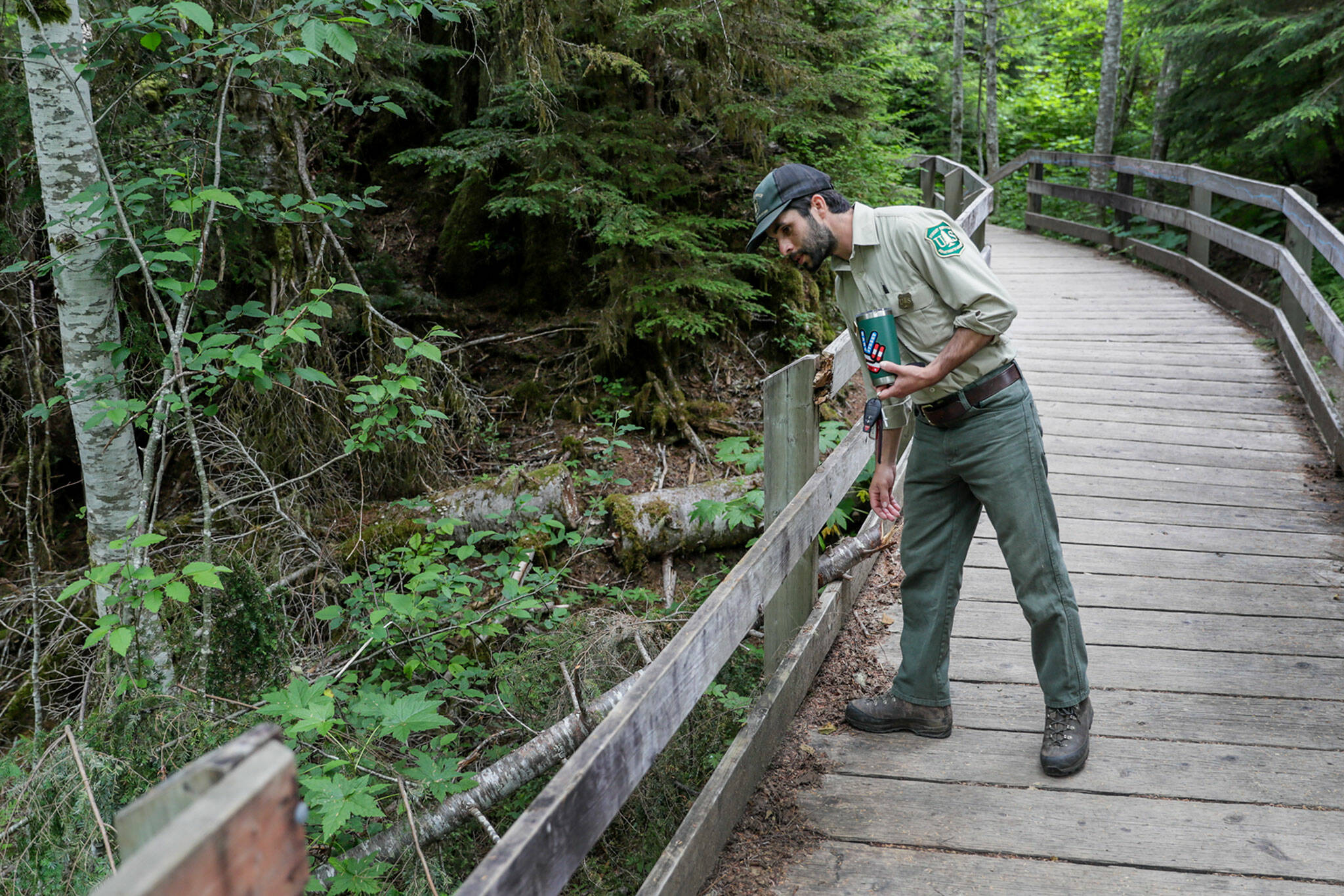 Justin Sundstrom, Forest Service ranger, looks over a newly reported broken rail at the Ice Cave trail on July 23 in Granite Falls. (Kevin Clark / The Herald)