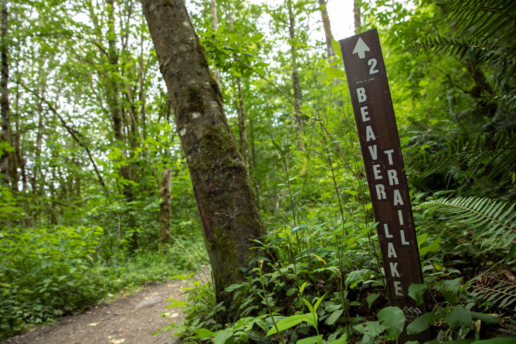 The 1.8-mile Beaver Lake Trail can be hiked in less than an hour. (Ryan Berry / The Herald)
