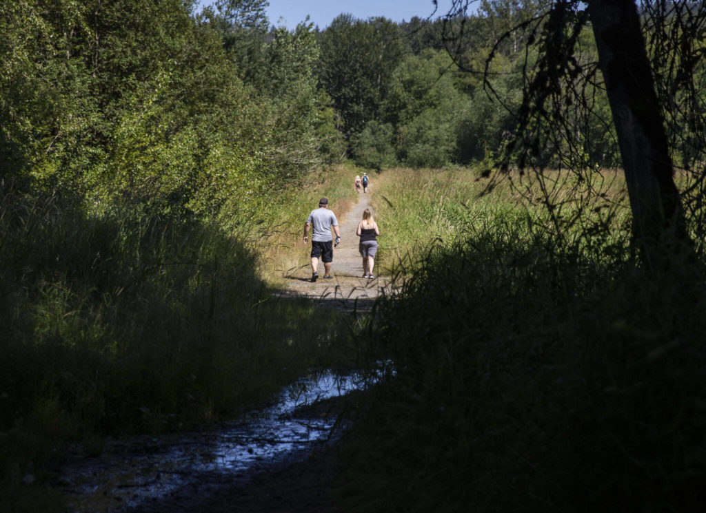 Hikers follow the Shadow Lake and Snohomish River Trail in Lord Hill regional park. (Olivia Vanni / The Herald)
