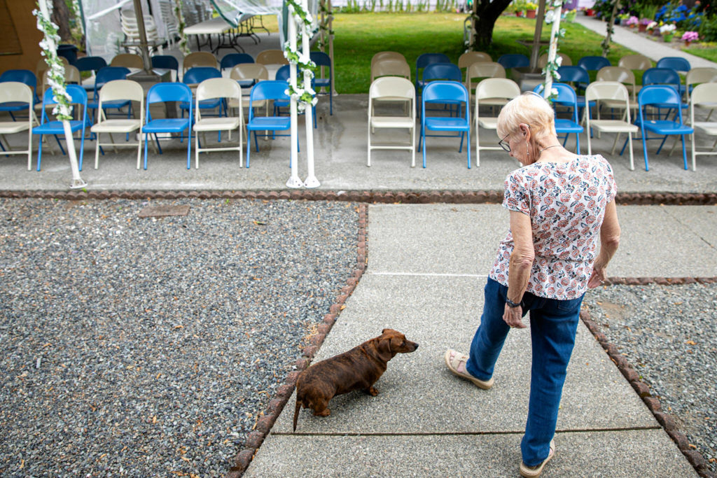 Rev. Barbara Rasberry chats with Mocha, her mini dachshund, while walking through her outdoor venue at the Purple Wedding Chapel. (Ryan Berry / The Herald)
