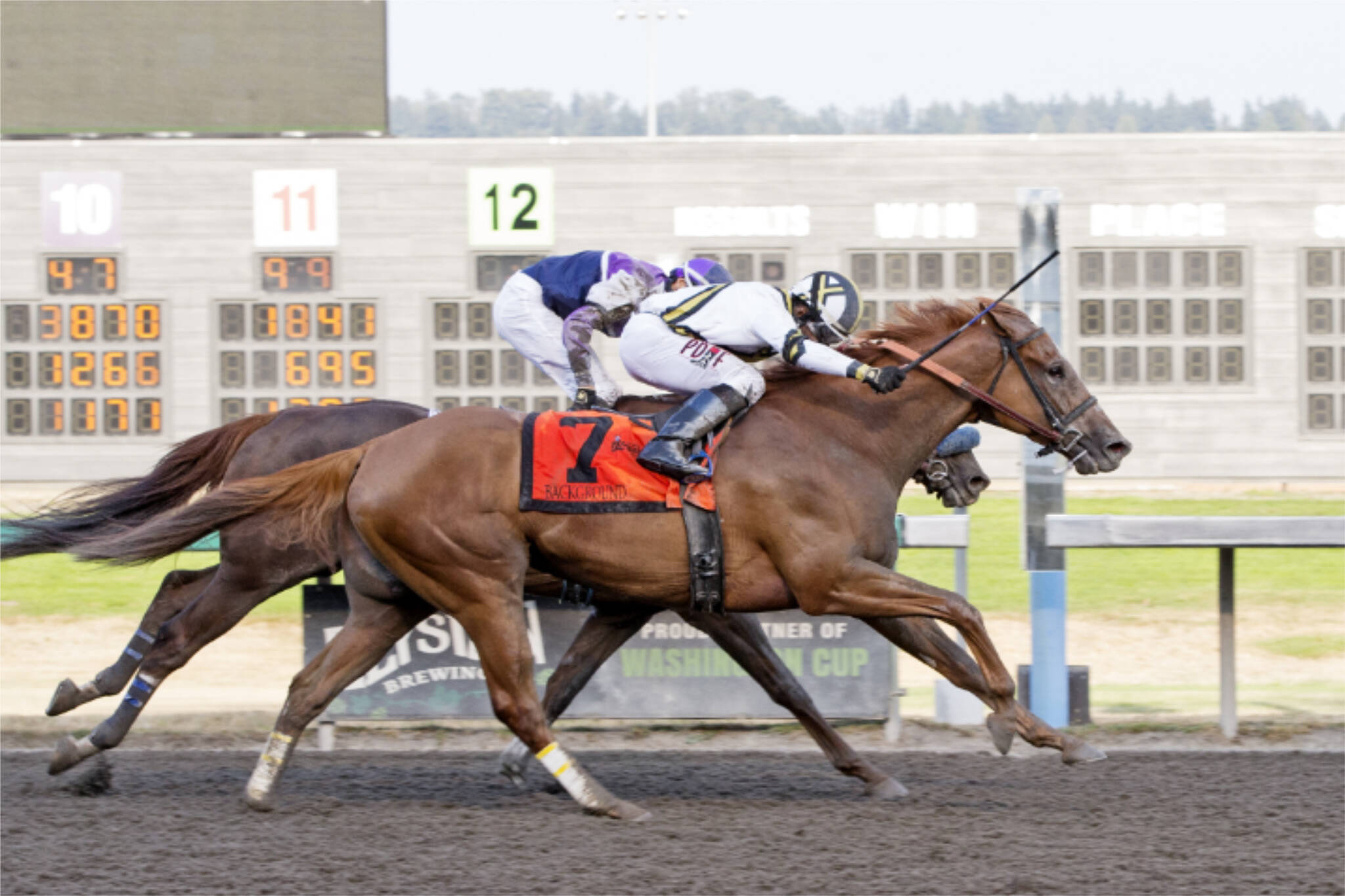 Background, in the foreground, surges past Windribbon to win the 2021 Longacres Mile at Emerald Downs. Background will attempt to defend his title on Sunday. (Photo courtesy of Emerald Downs)