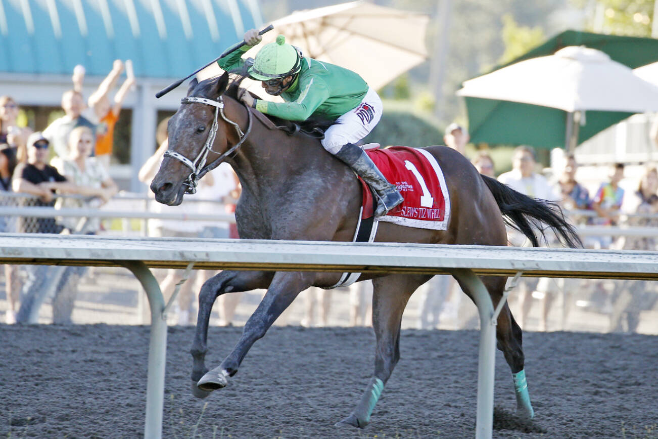 Jose Zunino rides Slew's Tiz Whiz to victory during the Longacres Mile at Emerald Downs in Auburn on Sunday, Aug. 14, 2022. (Photo courtesy of Emerald Downs)