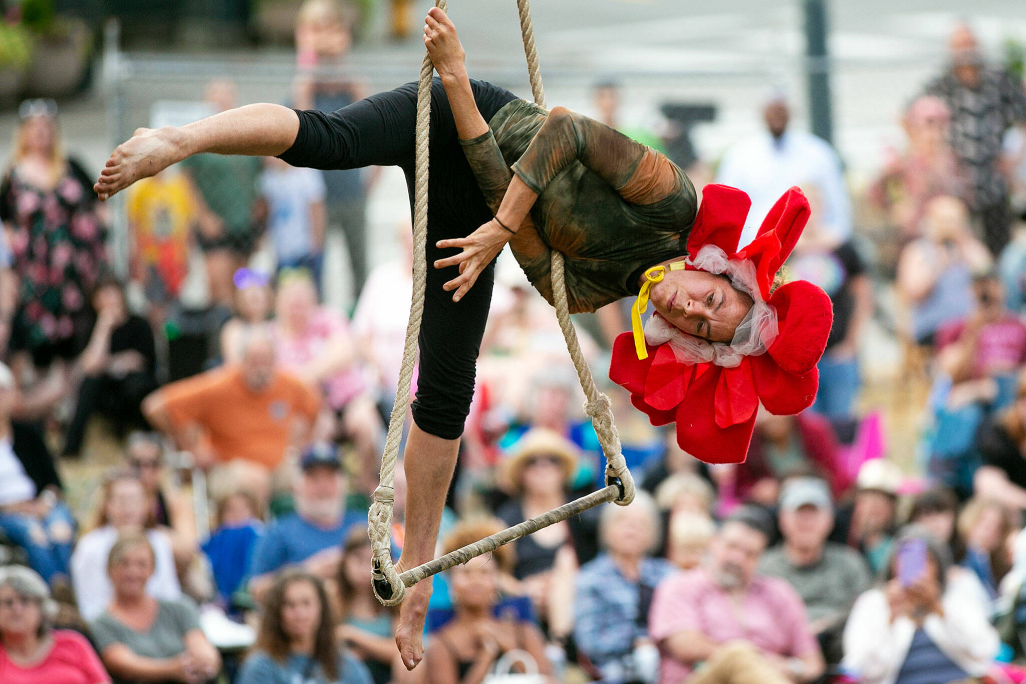 A trapeze artist performs above a crowd of hundreds during Up Up Up Crane Circus’s evening show Friday, in the empty lot at Hewitt and Oakes in downtown Everett. (Ryan Berry / The Herald)