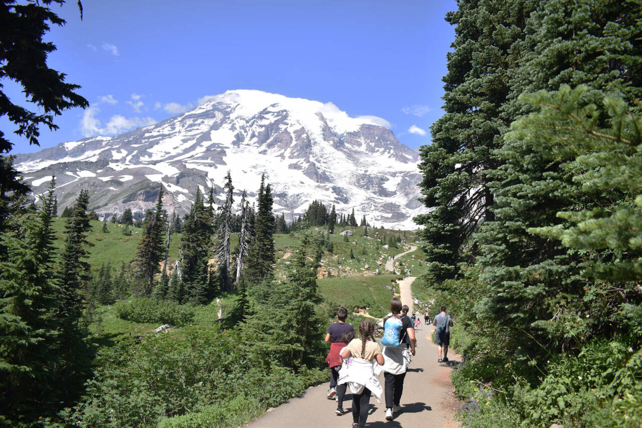 Hikers follow the Skyline Trail on the flank of Mount Rainier. (Alex Bruell / Enumclaw Courier-Herald)