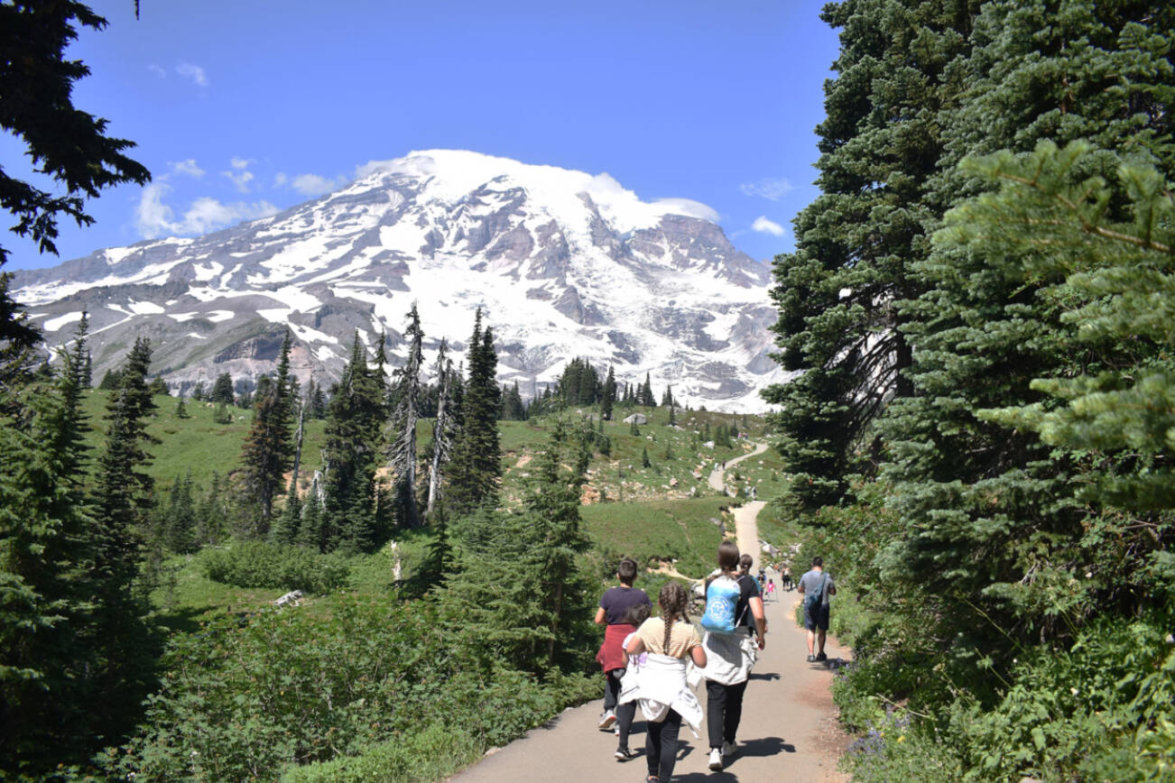 Hikers follow a path in the shadow of Mount Rainier. (Alex Bruell / Enumclaw Courier-Herald)