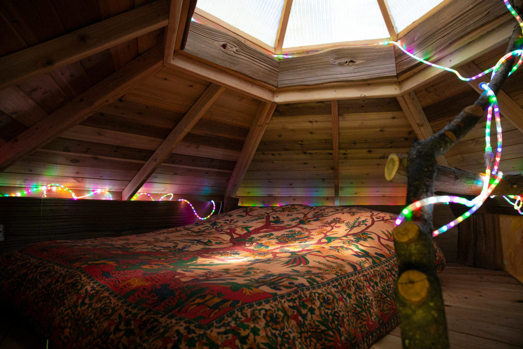 Forest-softened light shines into a treehouse room. (Ryan Berry / The Herald)
