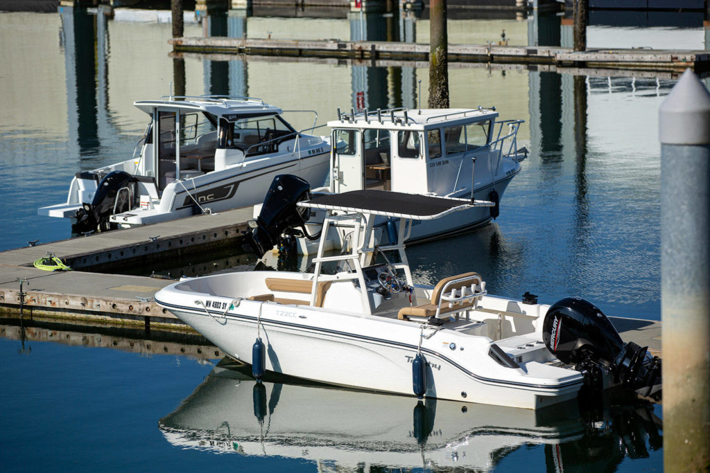 Three of the Freedom Boat Club’s vessels are moored on Aug. 11, at the Port of Everett in Everett. (Ryan Berry / The Herald)
