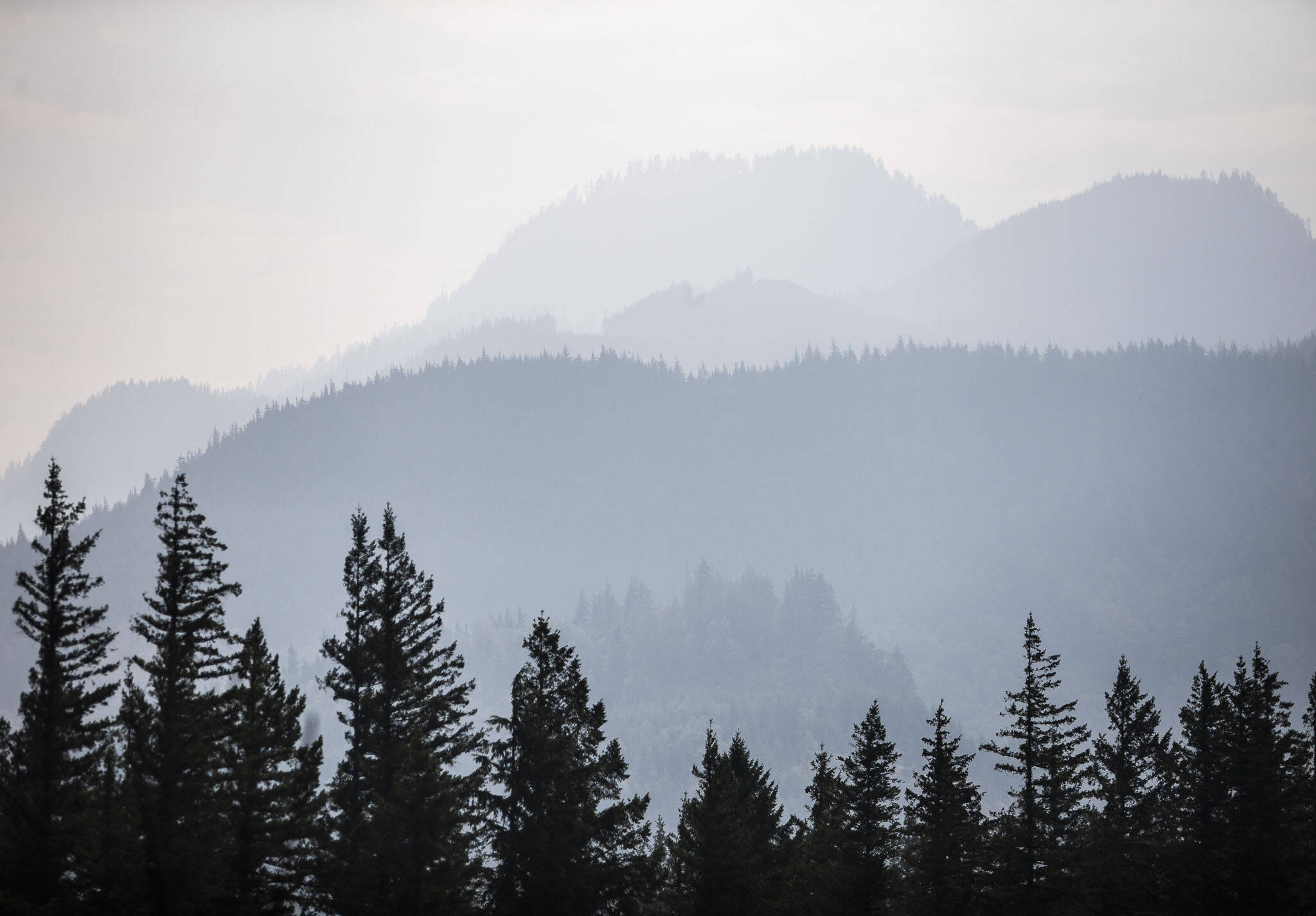 Smoke from the Bolt Creek fire silhouettes mountain ridge and tree layers just outside of Index on Monday. (Olivia Vanni / The Herald)