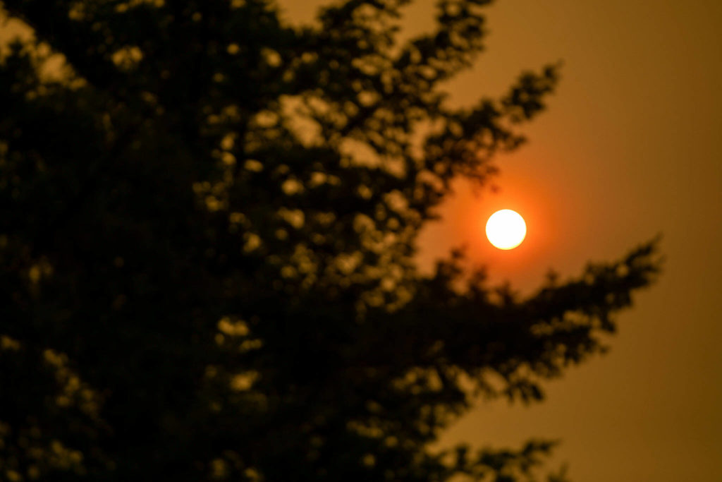 The sun illuminates smoke in the air during the Bolt Creek Fire on Saturday, Sep. 10, 2022, along U.S. 2 near Index, Washington. (Ryan Berry / The Herald)