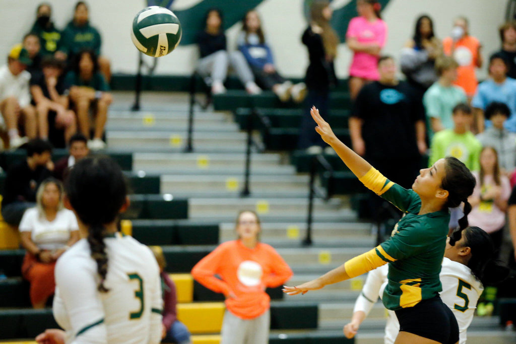 Shorecrest’s Maria Alvarez sends the ball over the net against Archbishop Murphy on Wednesday, Sep. 14, 2022, at Shorecrest High School in Shoreline, Washington. (Ryan Berry / The Herald)
