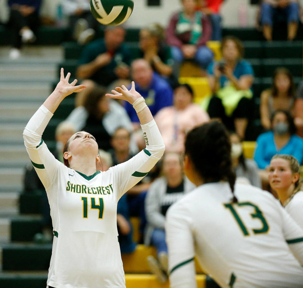 Shorecrest’s Sydney Telling sets the ball against Archbishop Murphy on Wednesday, Sep. 14, 2022, at Shorecrest High School in Shoreline, Washington. (Ryan Berry / The Herald)
