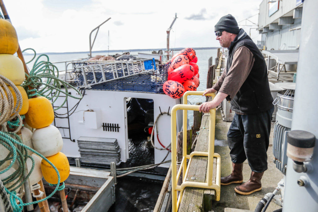 Gary Olsen stands at the dock of Home Port Seafoods as his boat, the St. John II, is unloaded April 15 in Bellingham. (Kevin Clark / The Herald)
