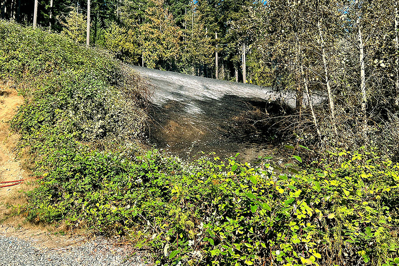 Firefighters responded to a bush fire on Monday spanning a number of acres northeast of the Galaxy Theatres and west of Chain Link Road in Monroe. (Snohomish Regional Fire & Rescue)