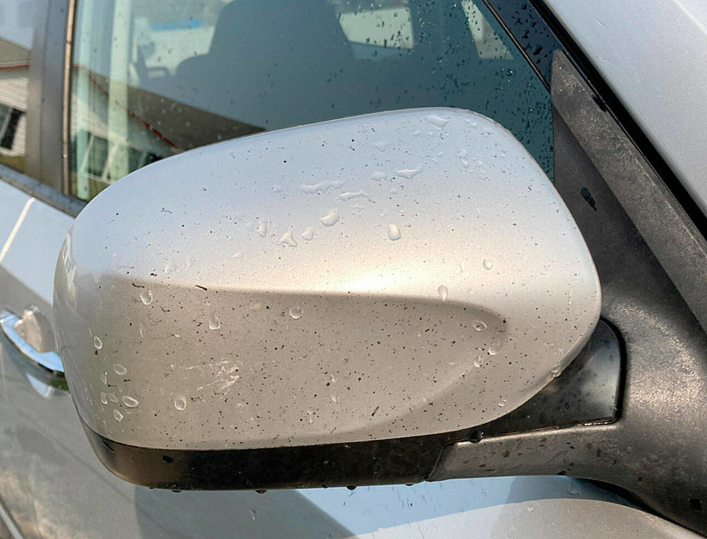 After driving behind a semi getting on southbound Interstate 5 from Marysville, an Everett reader noticed black residue on his car and wondered if it was diesel soot. (Fabian Borowiecki)
