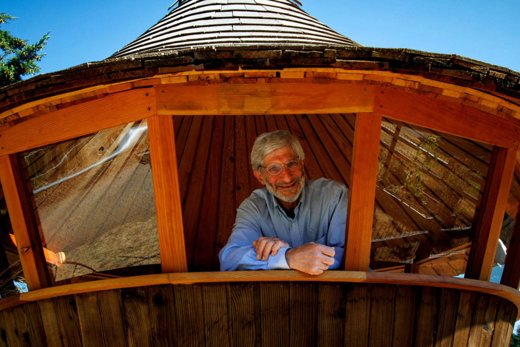 Dan Neumeyer peers out the window of his Hummingbird Yurt. (David Welton)
