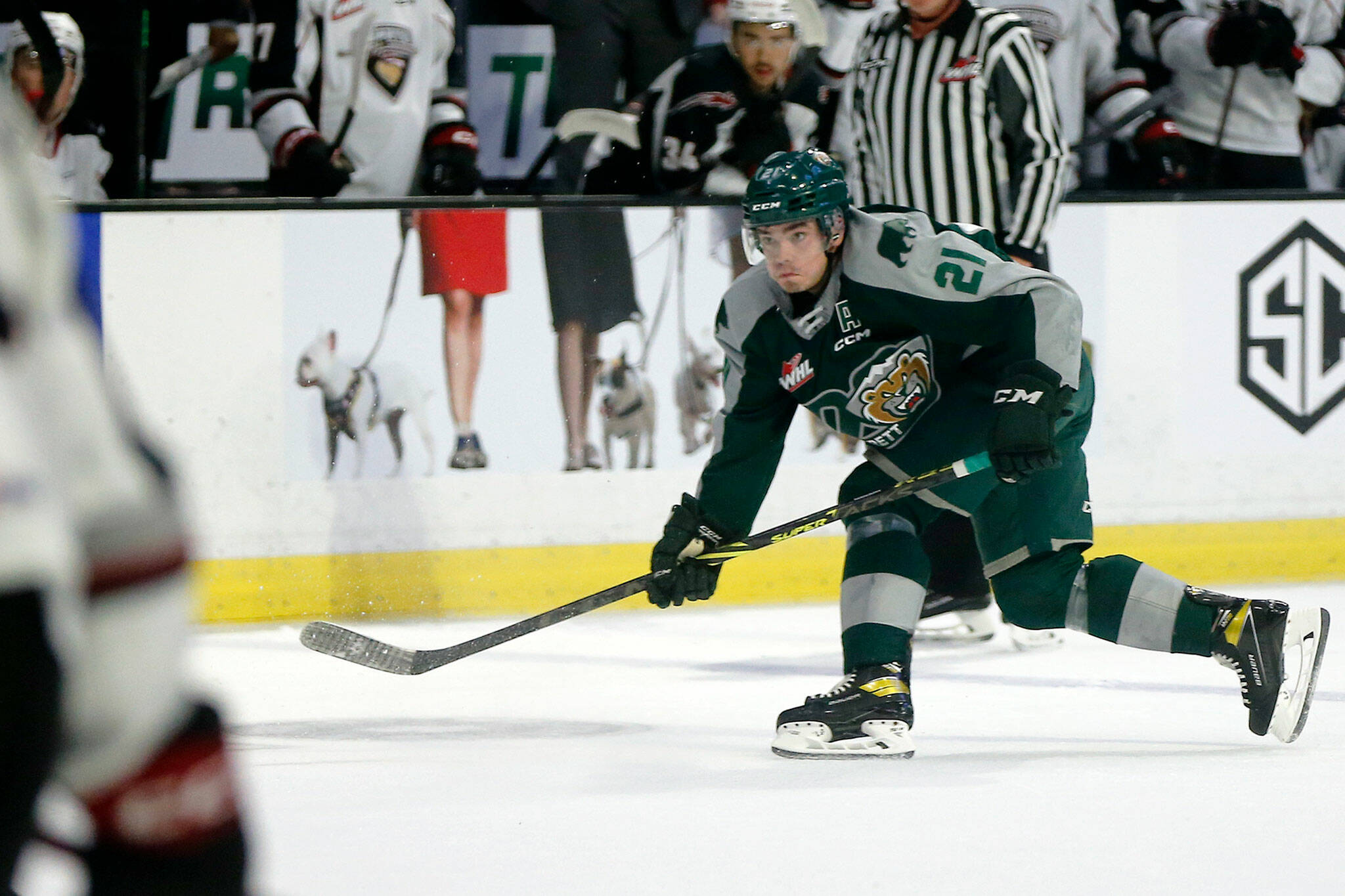 Everett Silvertips’ Dylan Anderson sends the puck behind the net during the season opener against the Vancouver Giants on Saturday, Sep. 24, 2022, at Angel of the Winds Arena in Everett, Washington. (Ryan Berry / The Herald)